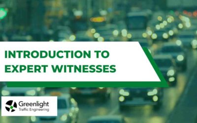 Introduction to Expert Witnesses